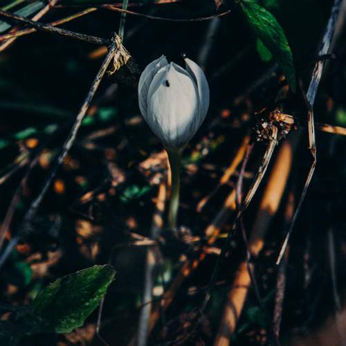 Photo #12473848