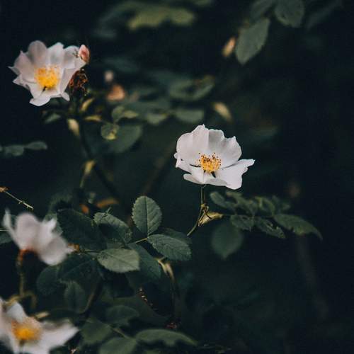 Photo #12473853