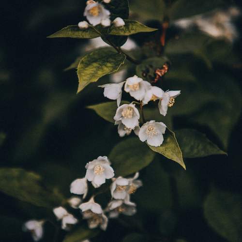 Photo #12473856