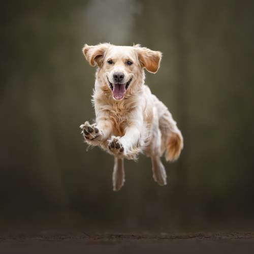 Photo #12473974