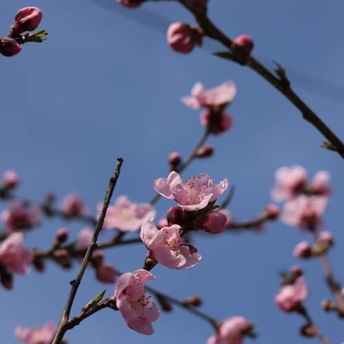 Photo #12474052