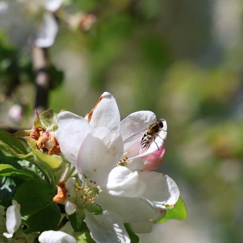 Photo #12474055