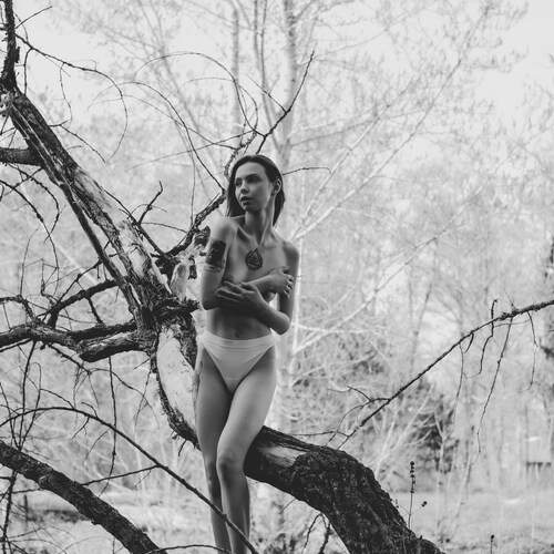 Photo #12474078