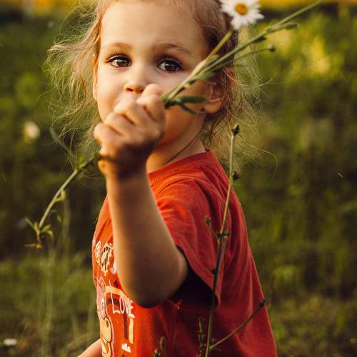Photo #12474149