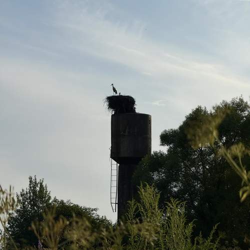 Photo #12474247