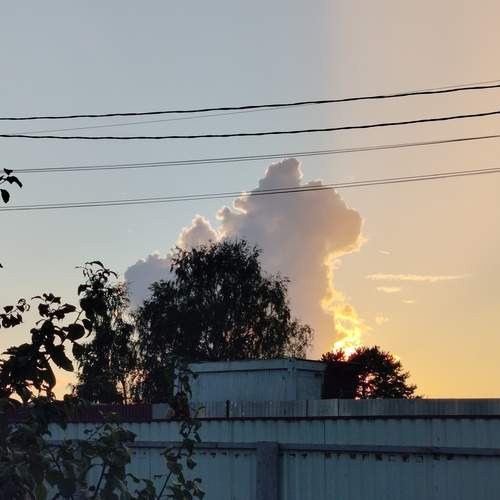 Photo #12474345