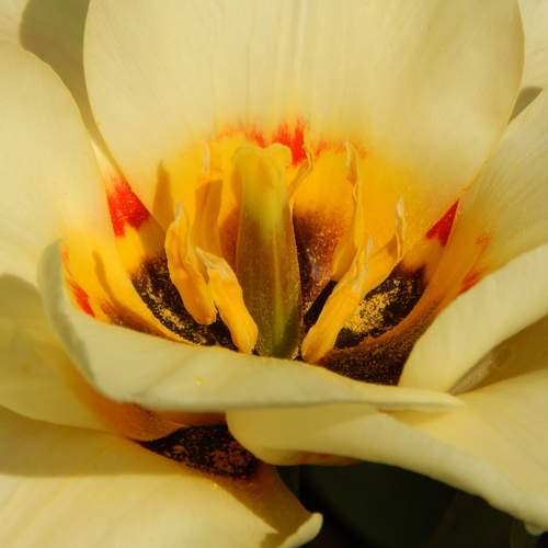 Photo #12474563