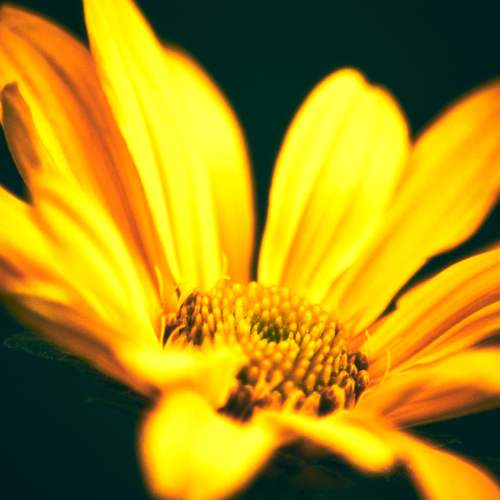 Photo #12474978