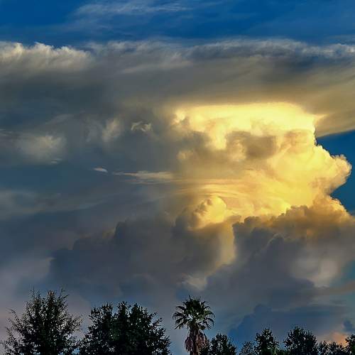 Unfolding Drama: Glory in the Grip of Power