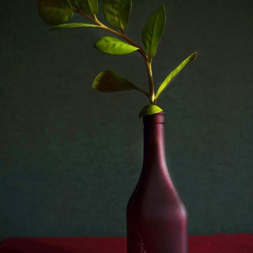 Photo #12475245
