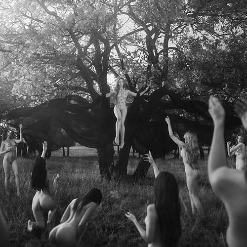 Фотография #12475343