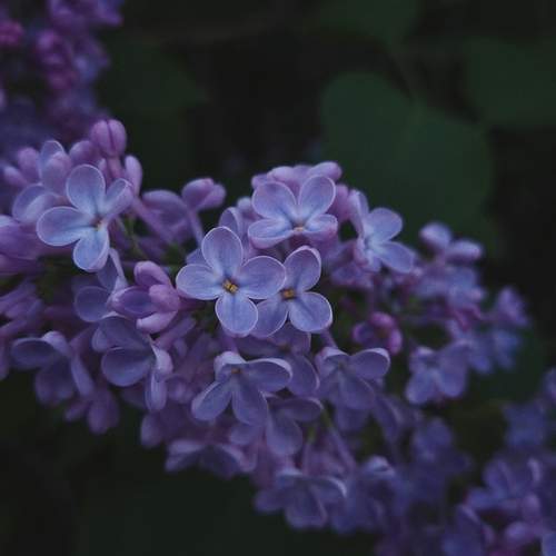 Photo #12475437