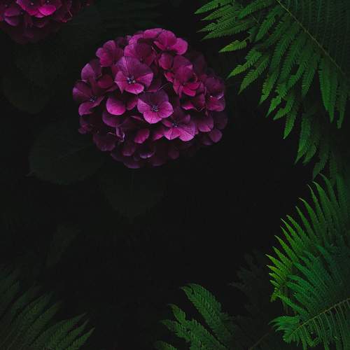 Photo #12475487