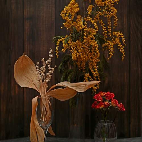 Photo #12475584