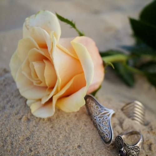 Photo #12475862