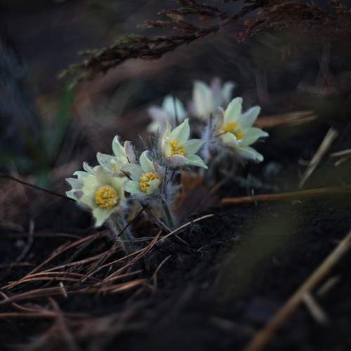 Photo #12476159