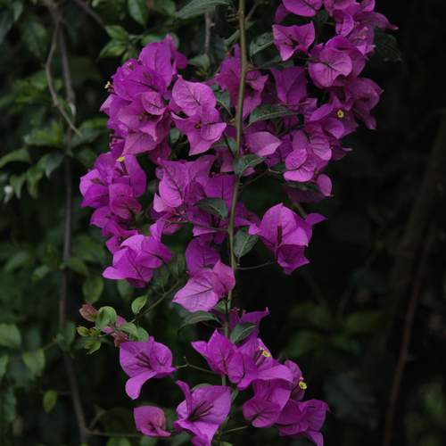Photo #12476421