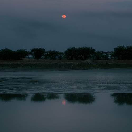 Wild moon