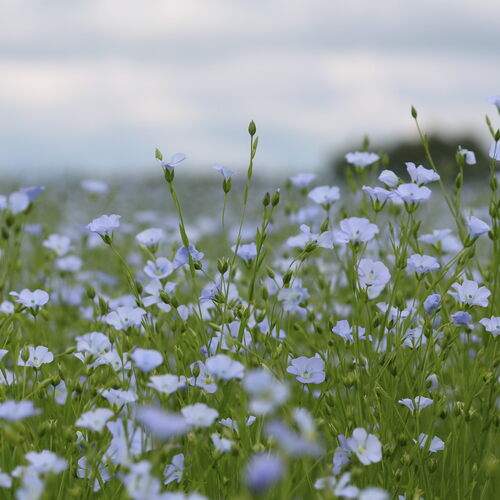 Photo #12476560