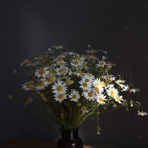 Photo #12476772