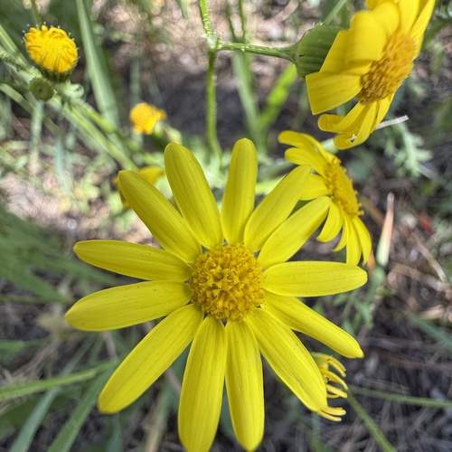 Photo #12476874