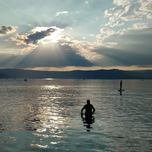 Photo #12477022
