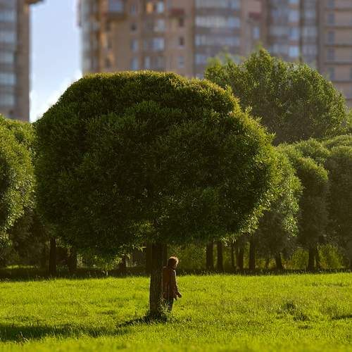 Photo #12477200