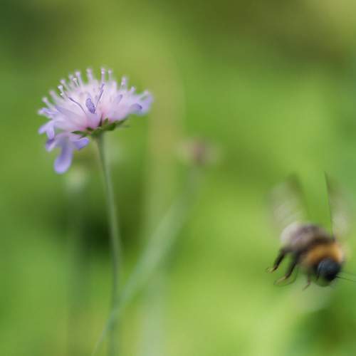 Photo #12477210