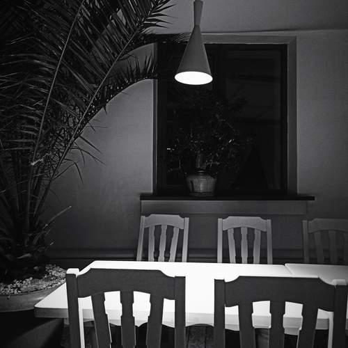 Photo #12477243
