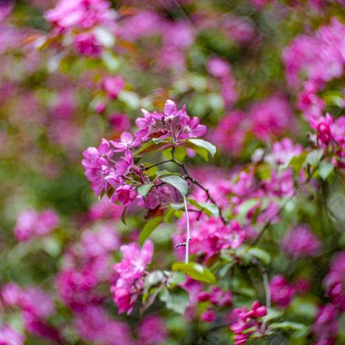 Photo #12477303