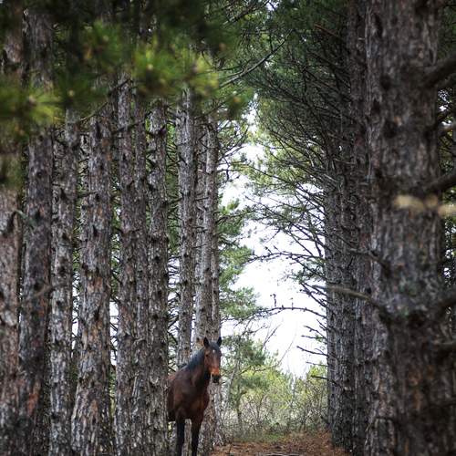 Photo #12477425