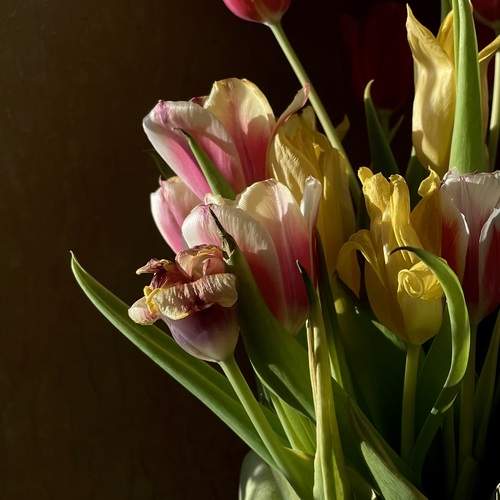 Photo #12477484