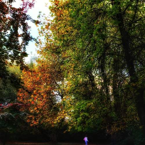 Photo #12477754