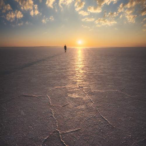 Фотография #12477898