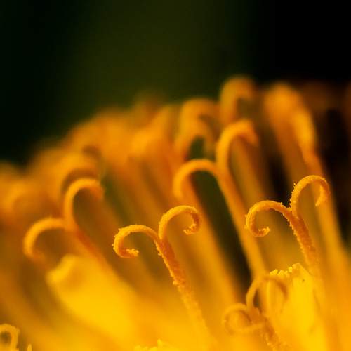 Photo #12477913