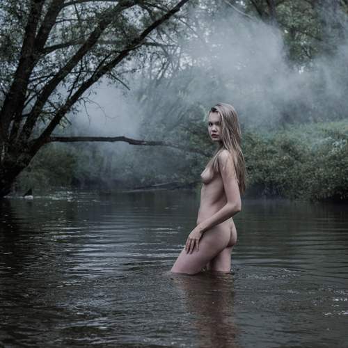 Photo #12478192