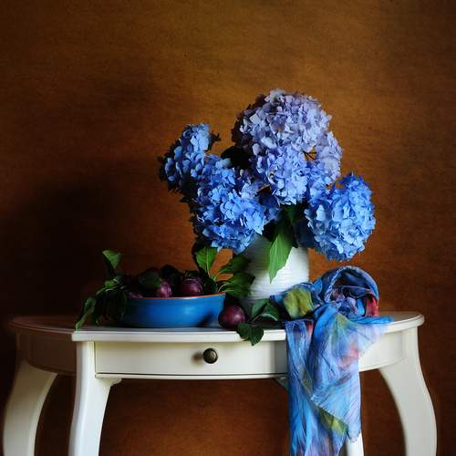 Photo #12478314