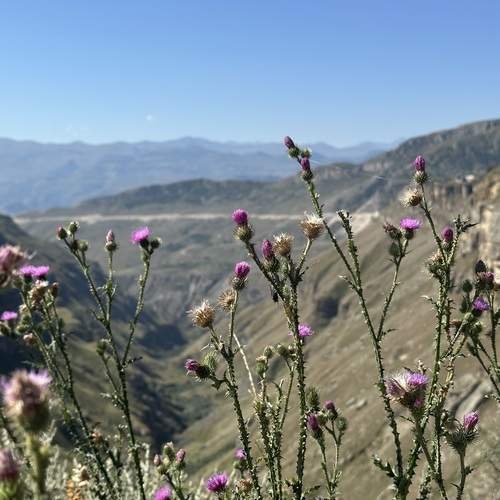 Photo #12478436