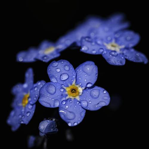 Photo #12478697