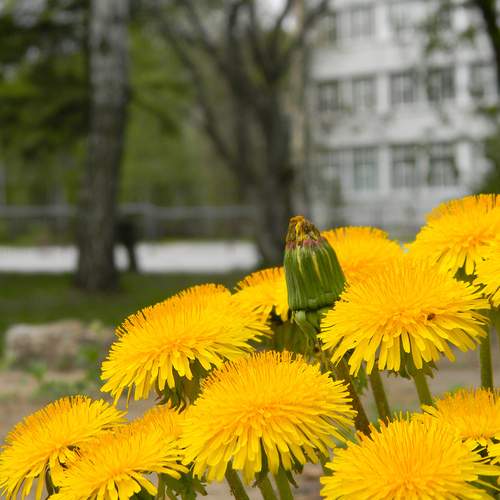 Photo #12478747