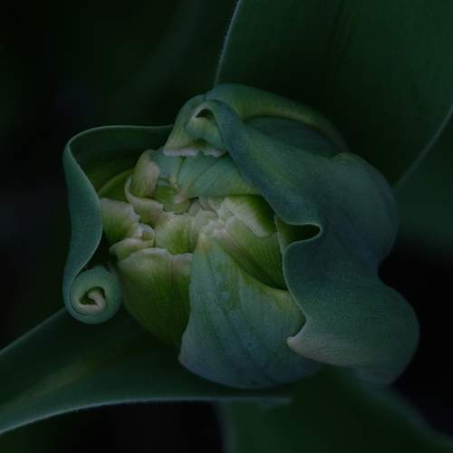 Photo #12478779
