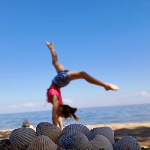Photo #12478842