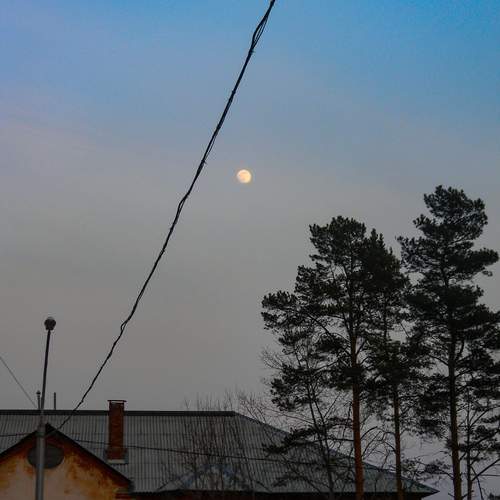Photo #12478888
