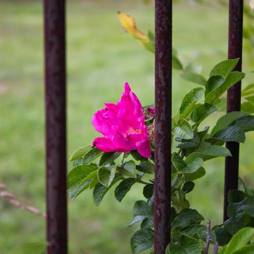 Photo #12478924