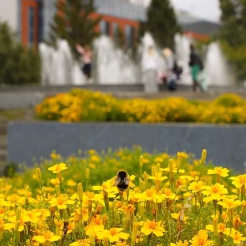 Photo #12478966