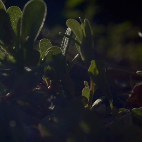 Photo #12479016