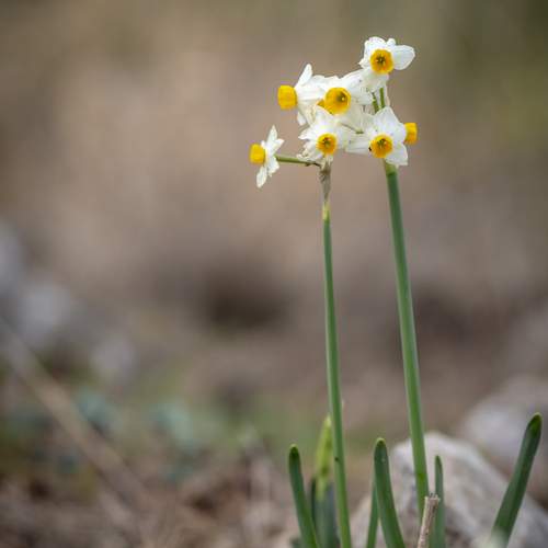 Photo #12479057