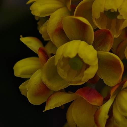 Photo #12479166