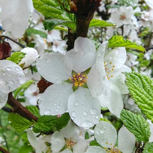 Photo #12479271