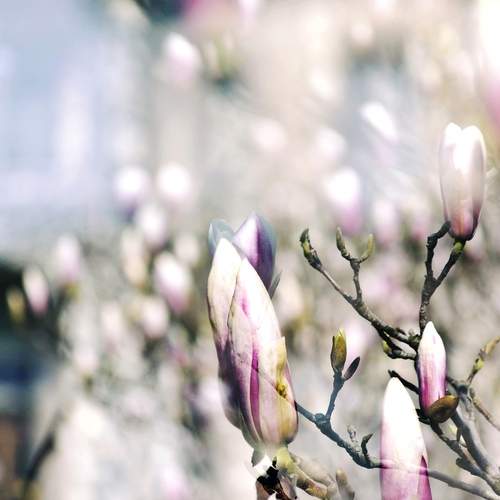 Photo #12479603